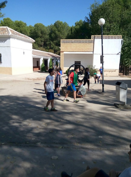convivencia-2017-6