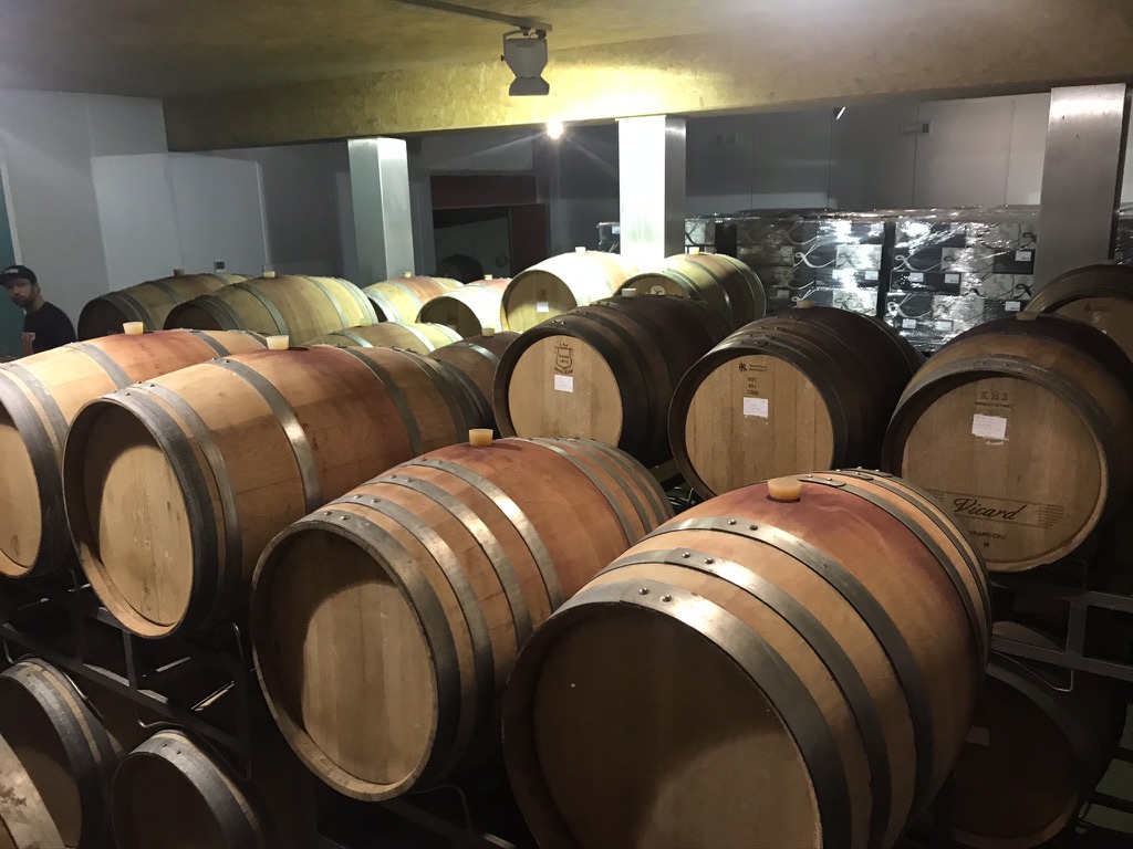 bodegas-ecologicas4