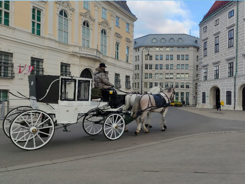 4viena