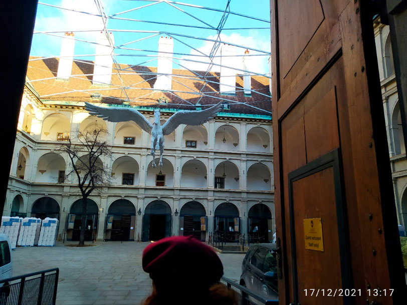 6viena