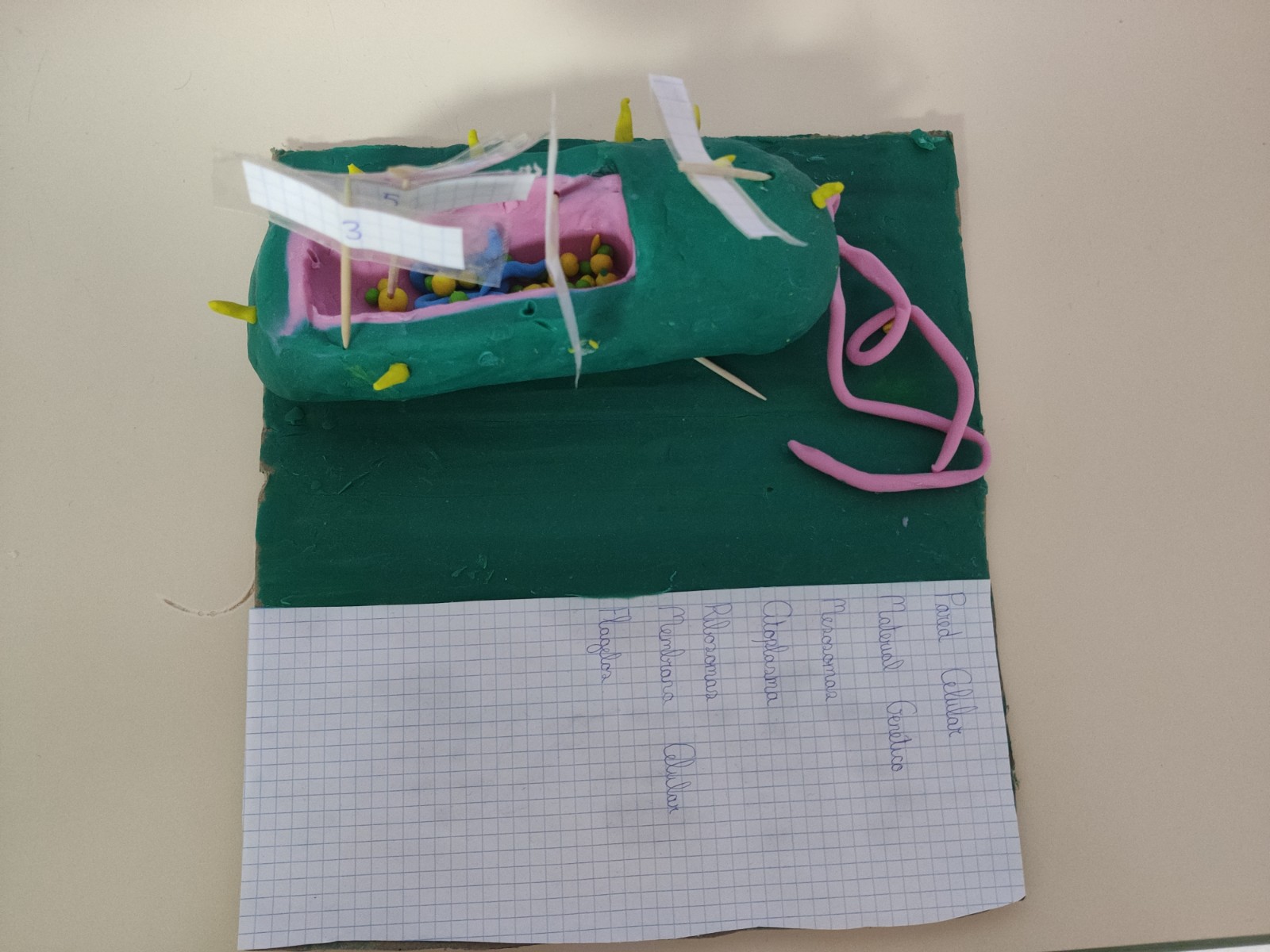 ALUMNADO-DIVERSIFICACION1