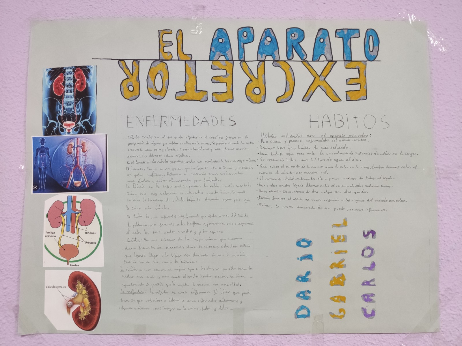 ALUMNADO-DIVERSIFICACION10
