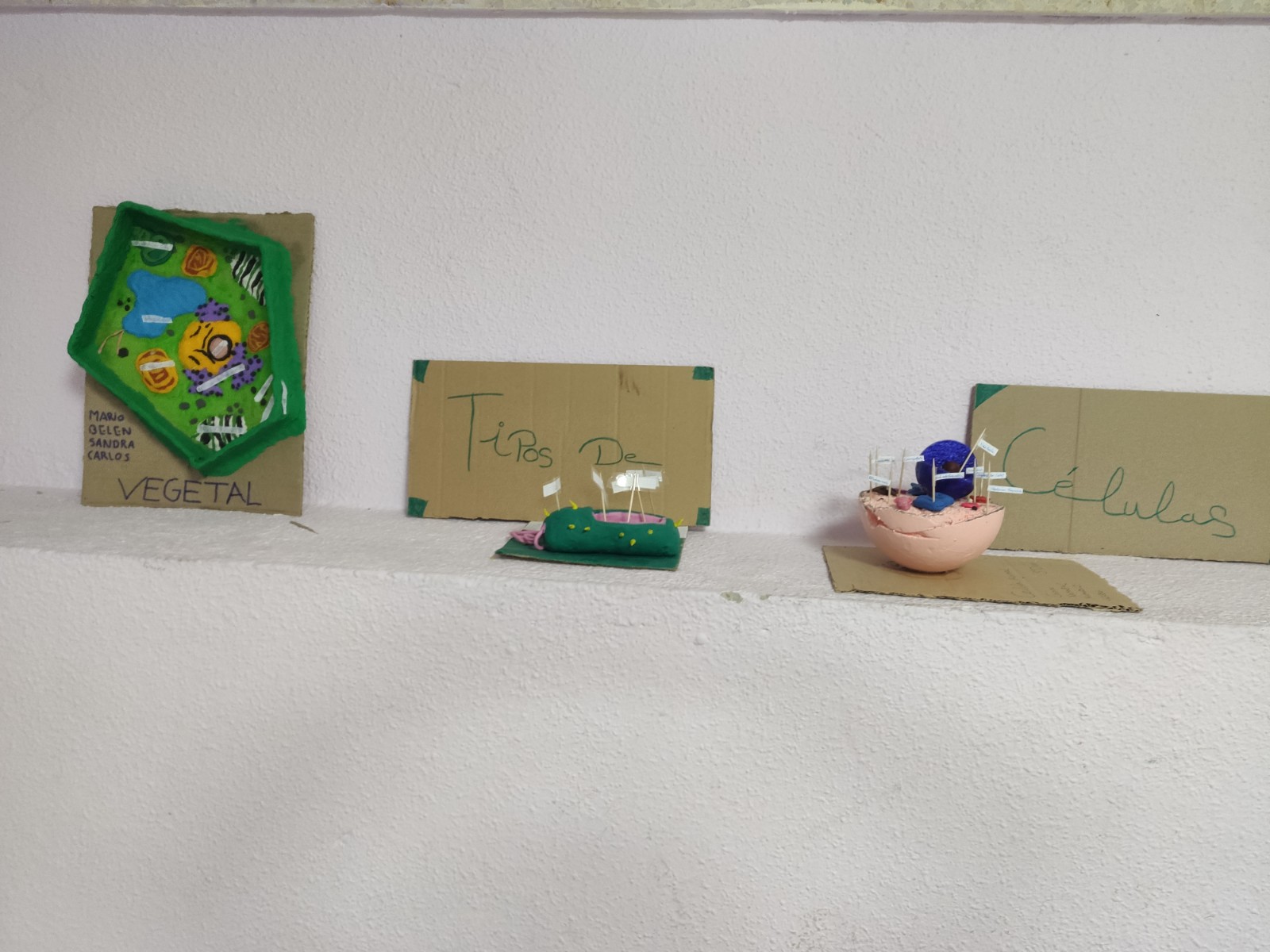 ALUMNADO-DIVERSIFICACION4