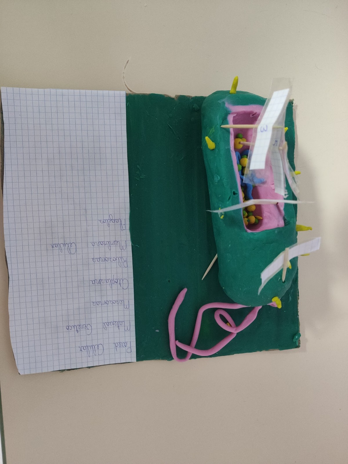 ALUMNADO-DIVERSIFICACION5