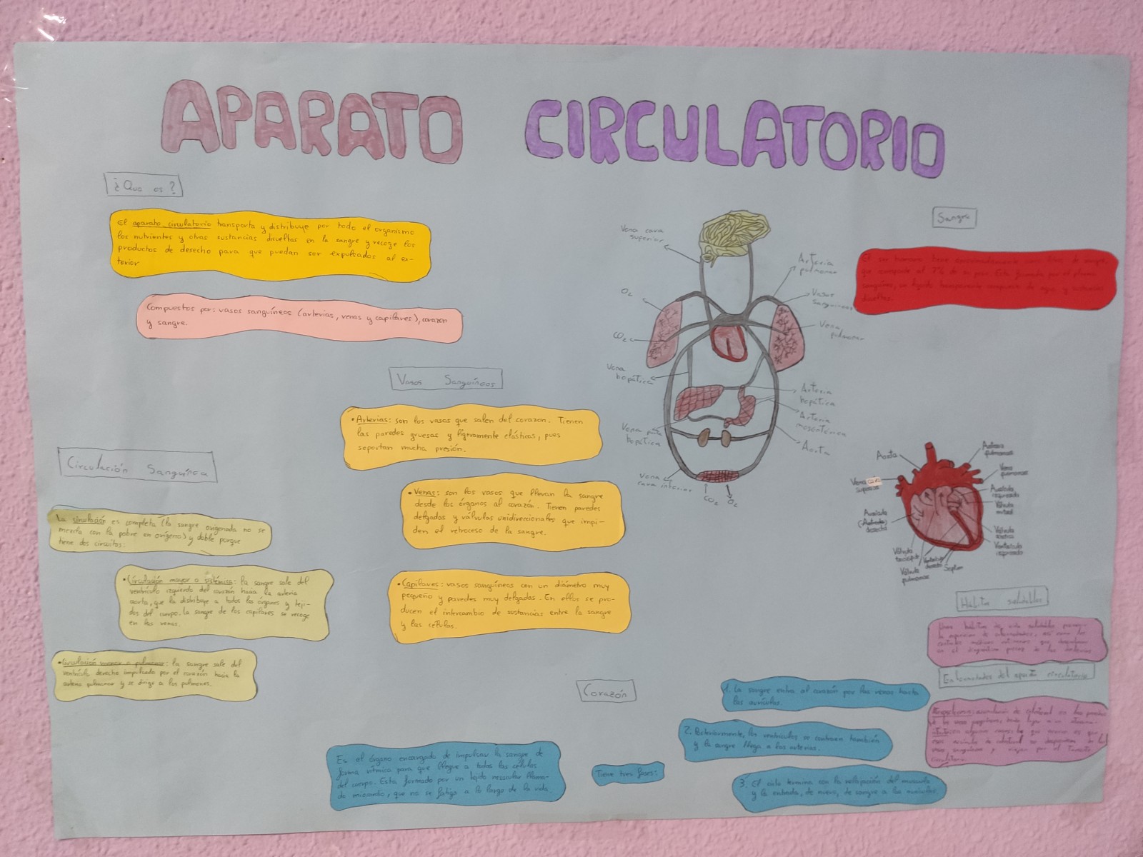 ALUMNADO-DIVERSIFICACION7