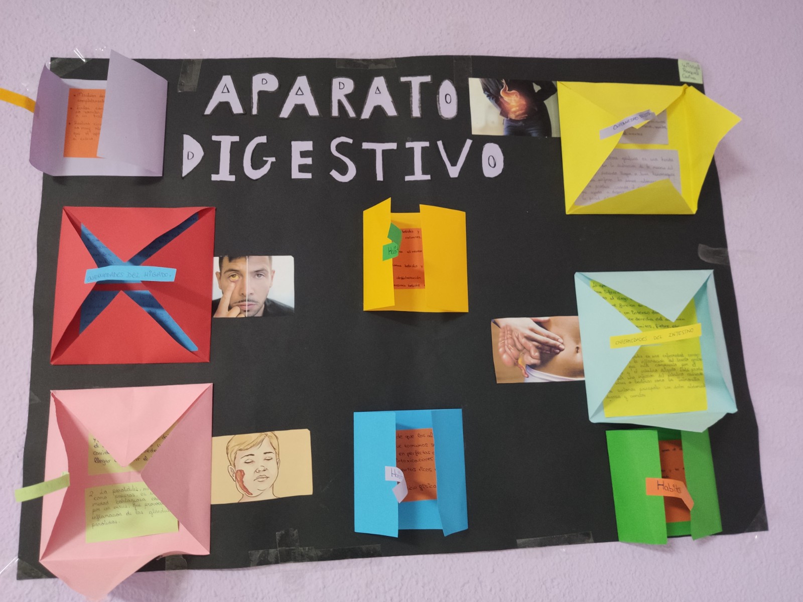 ALUMNADO-DIVERSIFICACION8