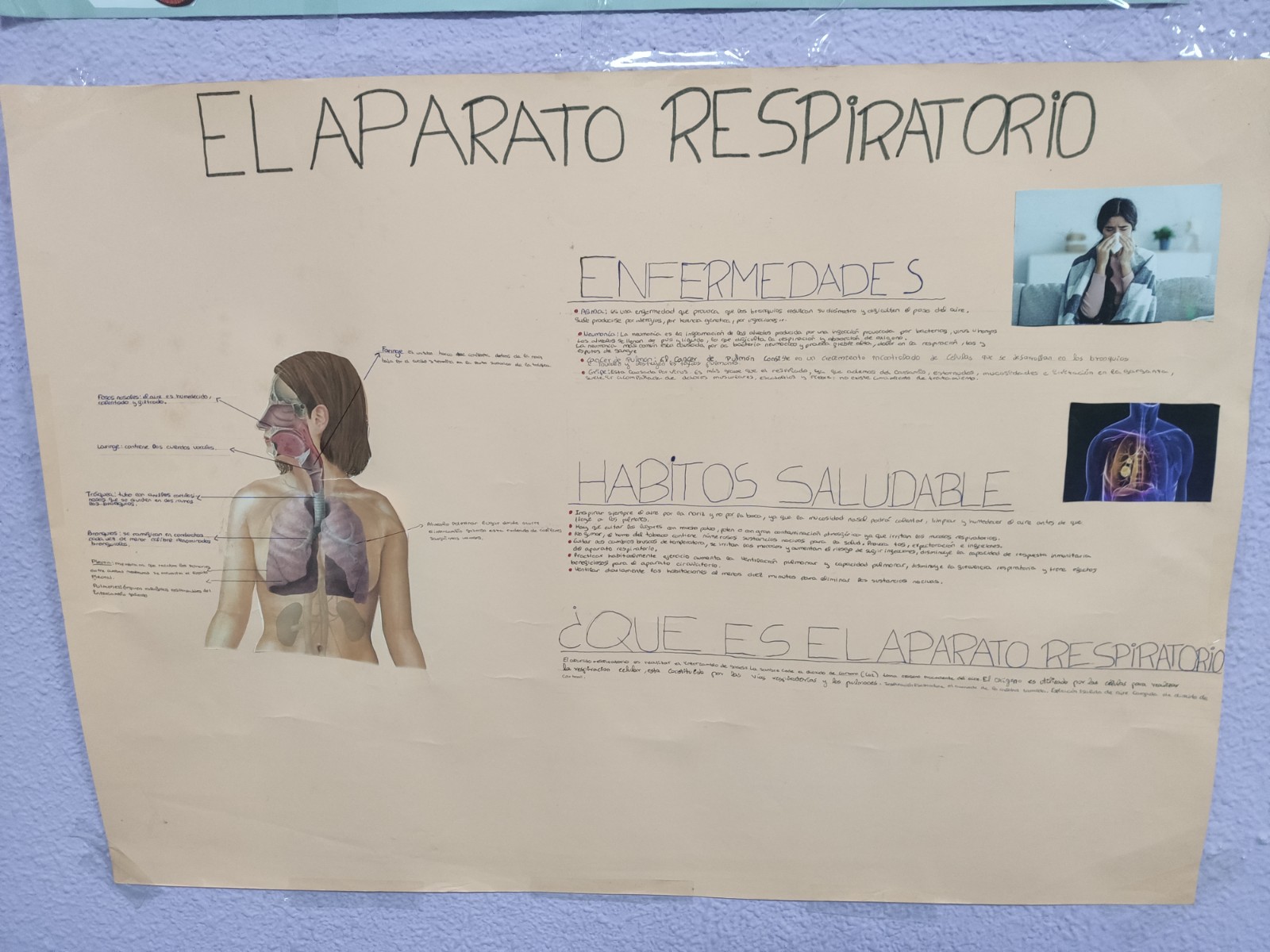ALUMNADO-DIVERSIFICACION9