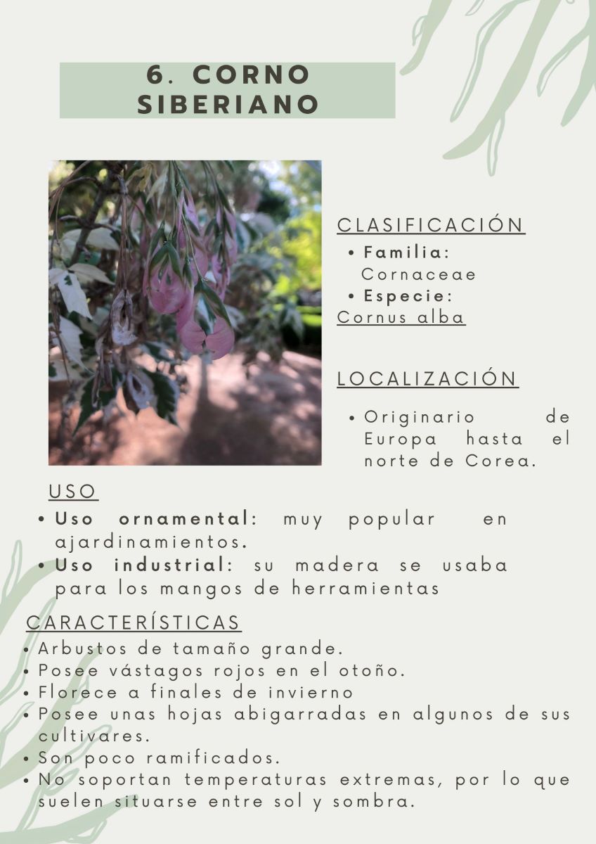 parque-constitucion 16