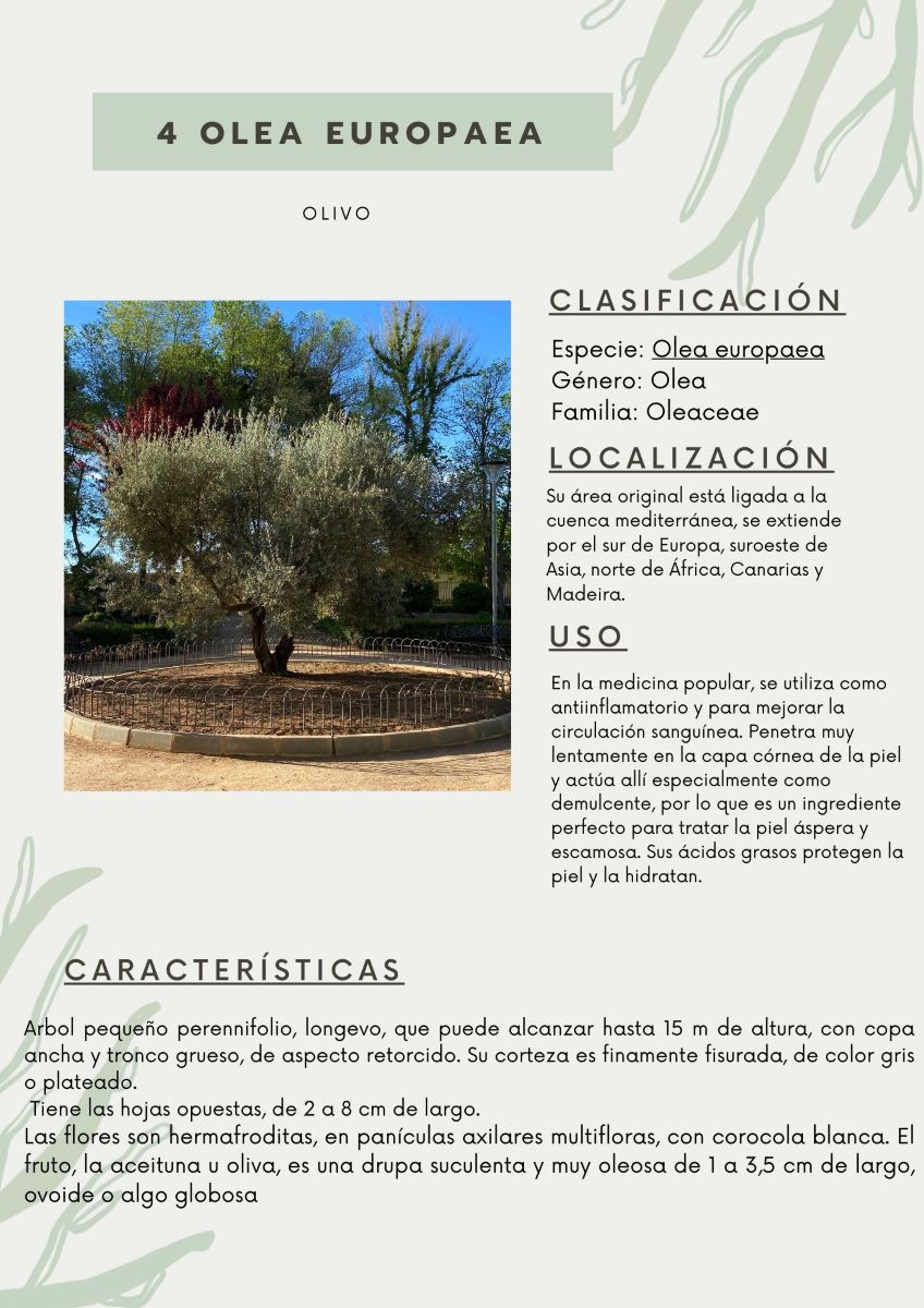 parque-constitucion 17