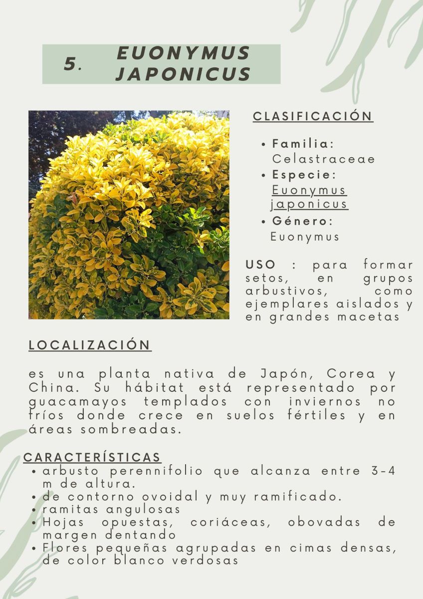 parque-constitucion 18