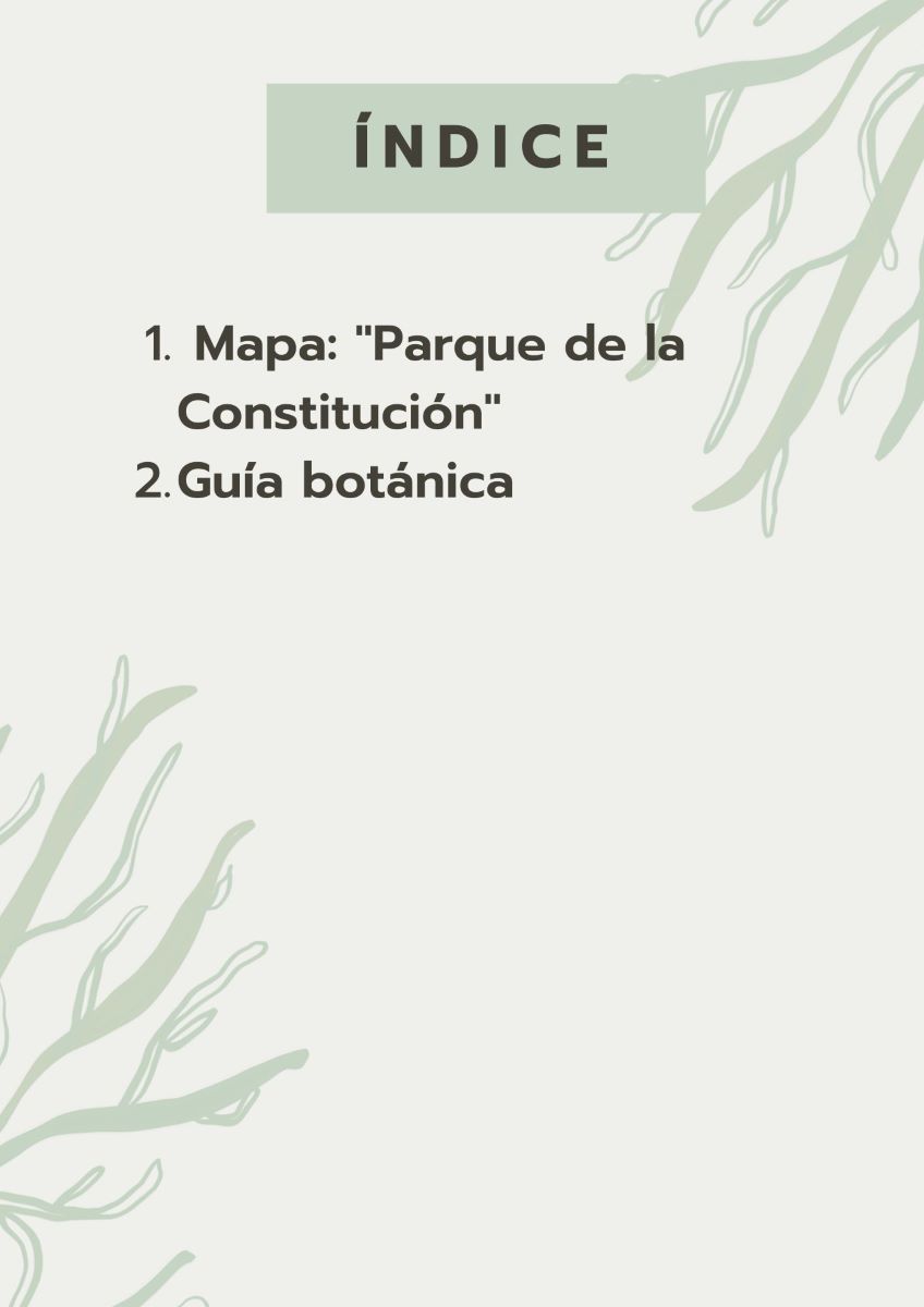 parque-constitucion 2