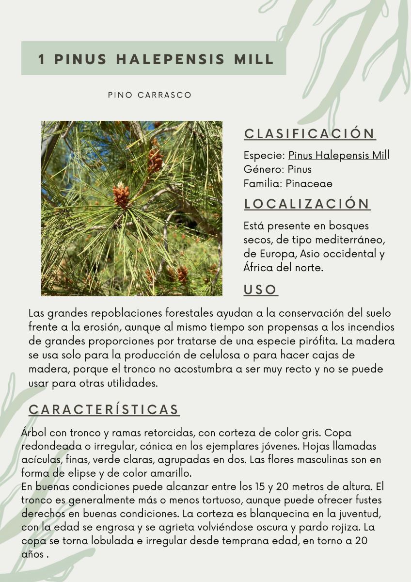 parque-constitucion 21