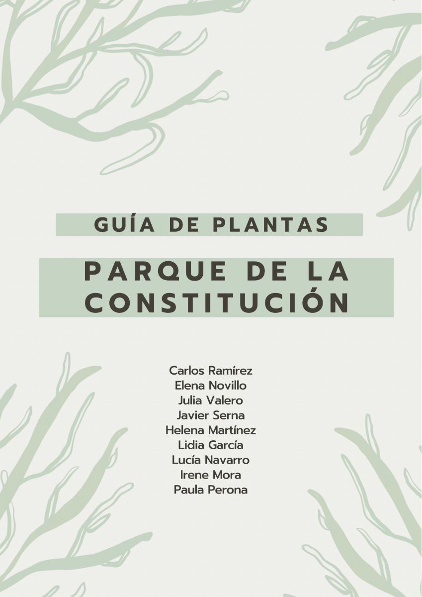 parque-constitucion 3