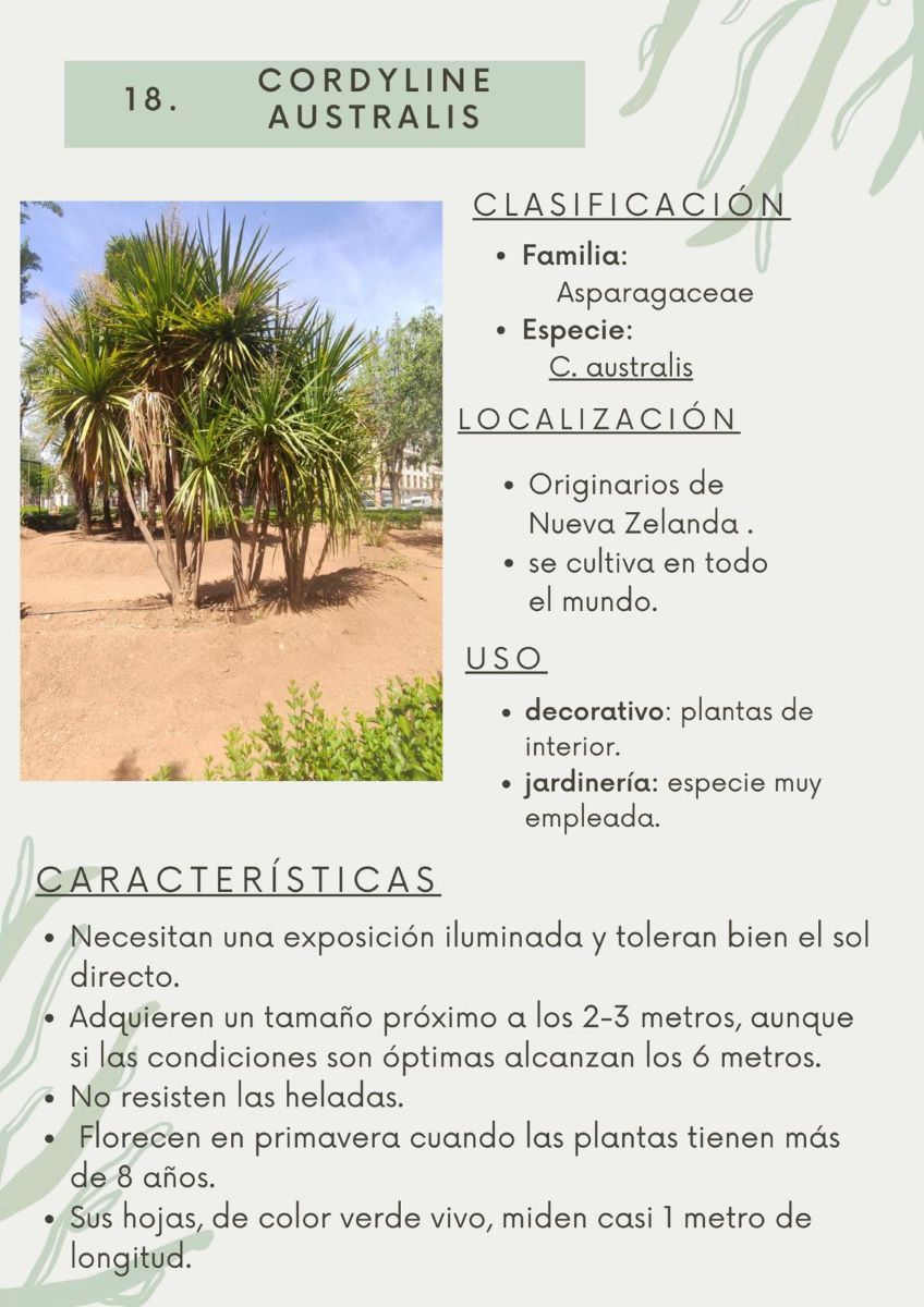 parque-constitucion 4
