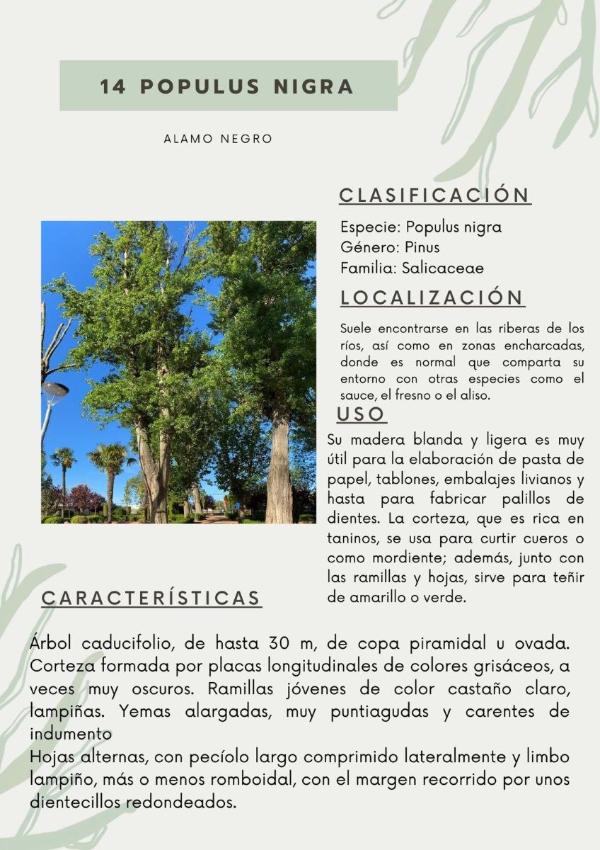 parque-constitucion 8
