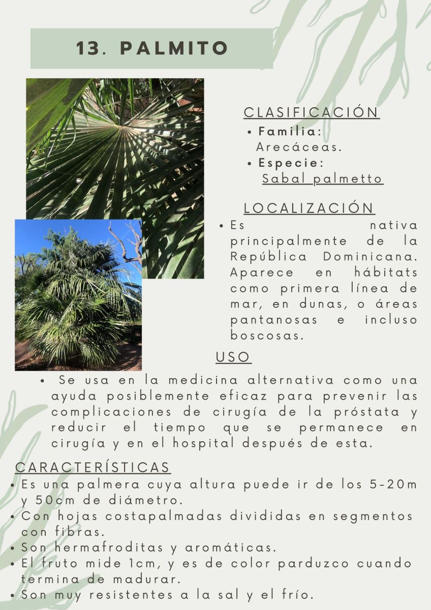 parque-constitucion 9