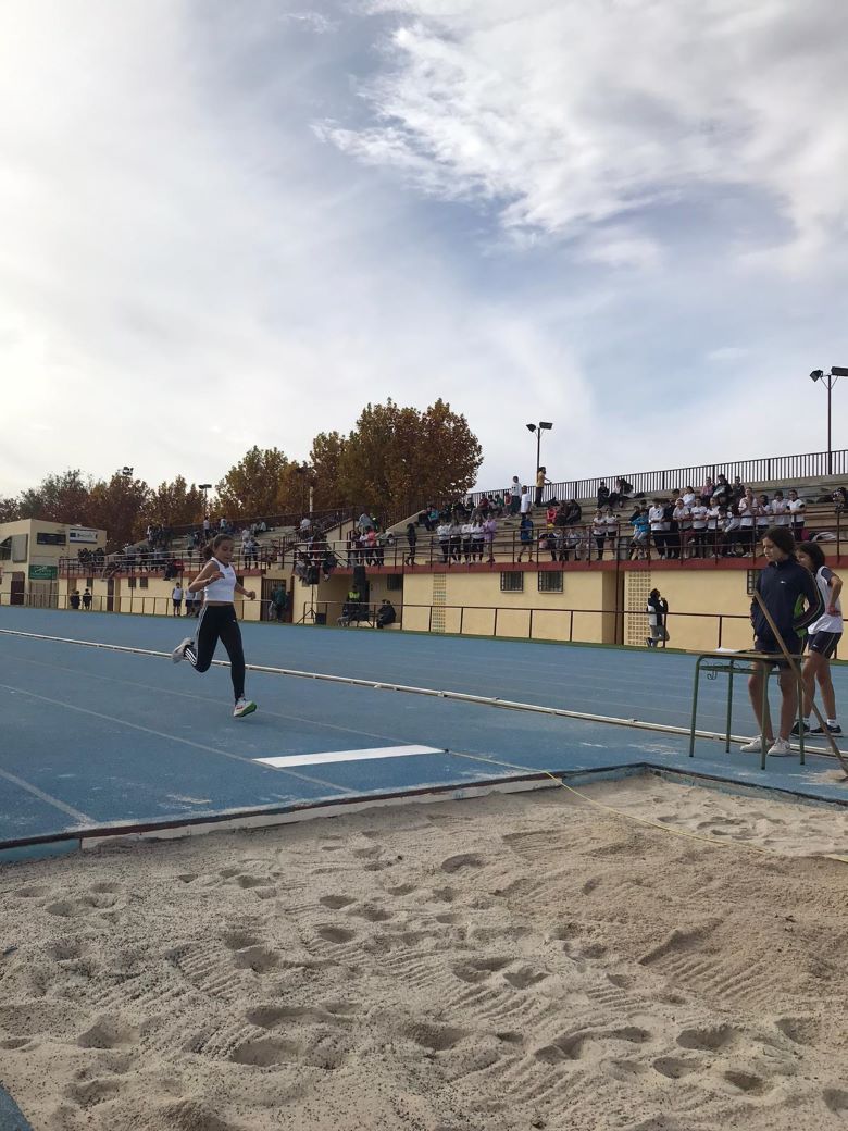 olimpiadas 15