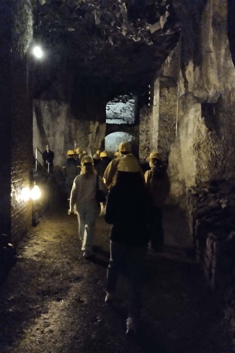 erasmus-altoguadiana-alemania32