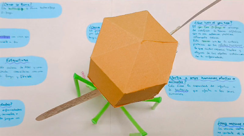 maquetas alumnos
