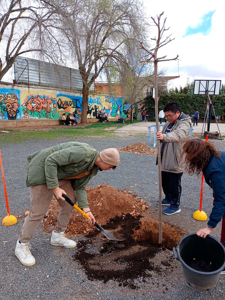 dia-del-arbol-02