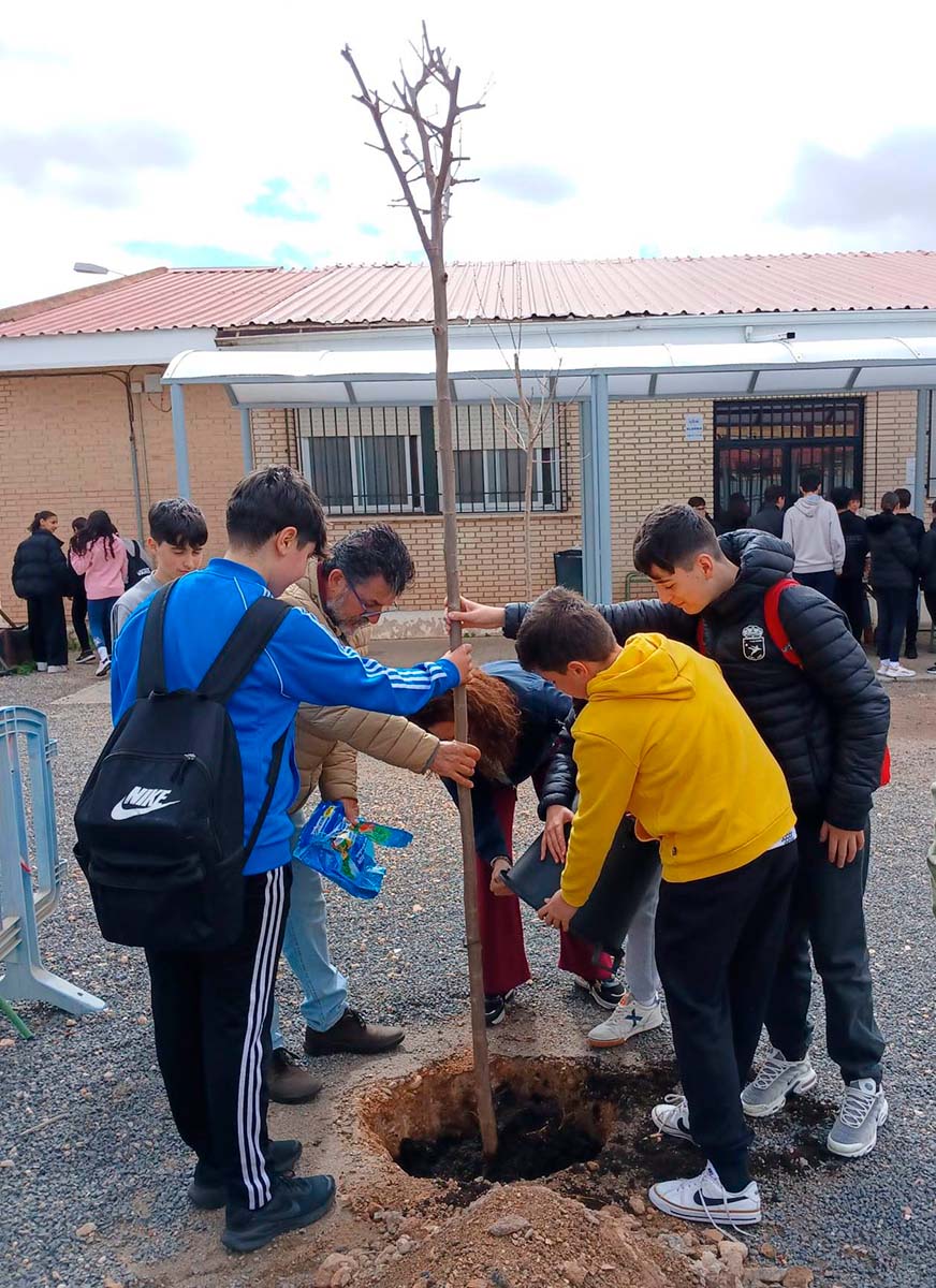 dia-del-arbol-03