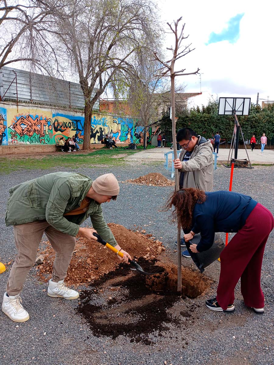 dia-del-arbol-04