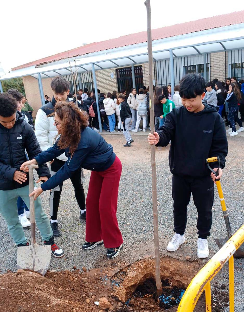 dia-del-arbol-06