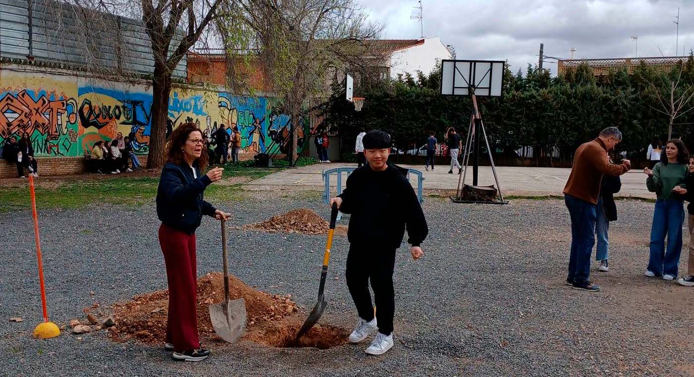 dia-del-arbol-07