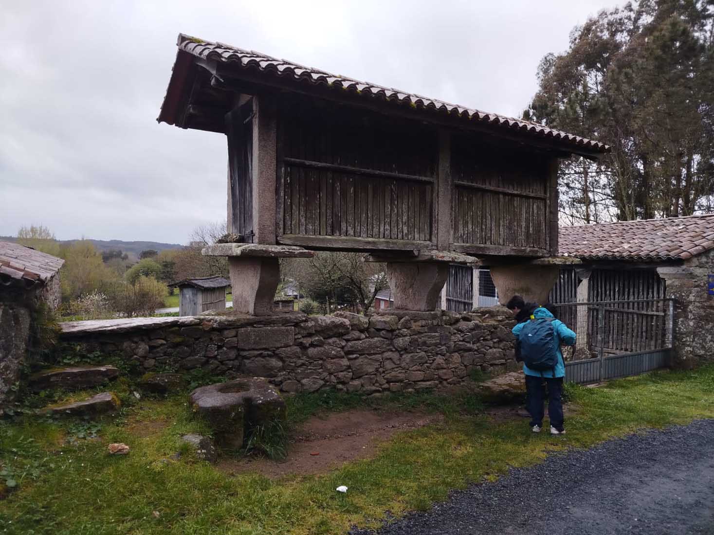 camino-santiago-2025-16